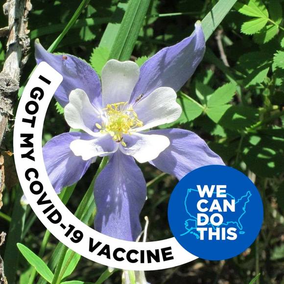 Meet your Posher, Natalie - Picture 1 of 1